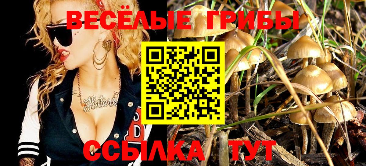 Псилоцибиновые грибы ЛСД Строитель